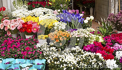 Flower Market Stock Photo